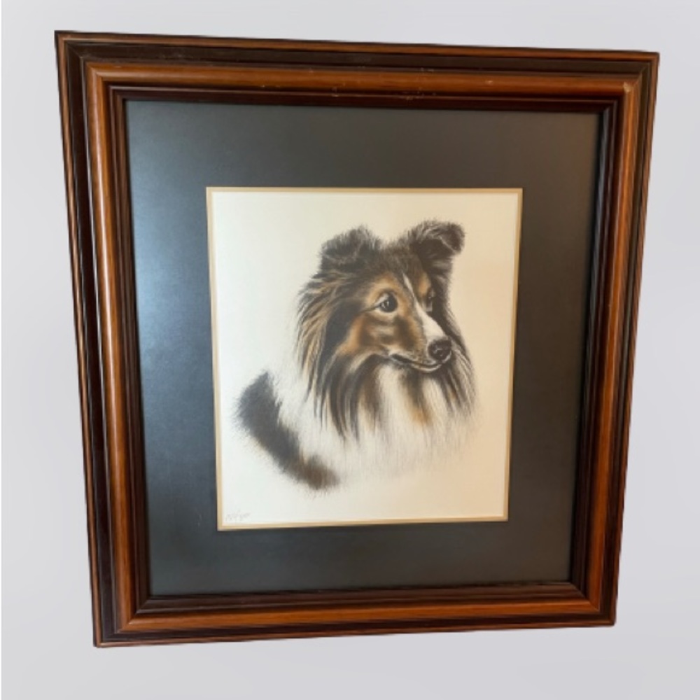 Vintage framed border collie print, numbered